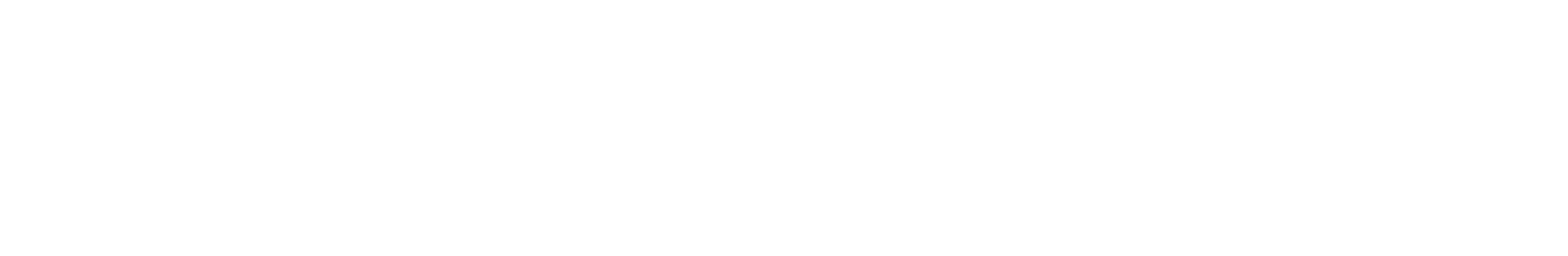 SMM Logo